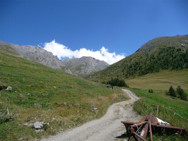Immagine strada e prati verdi della Valle
